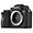 Used Sony A9 Body Only - Excellent