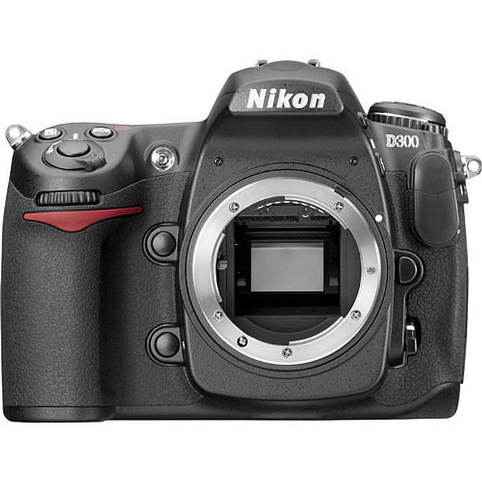 nikon d300s sensor