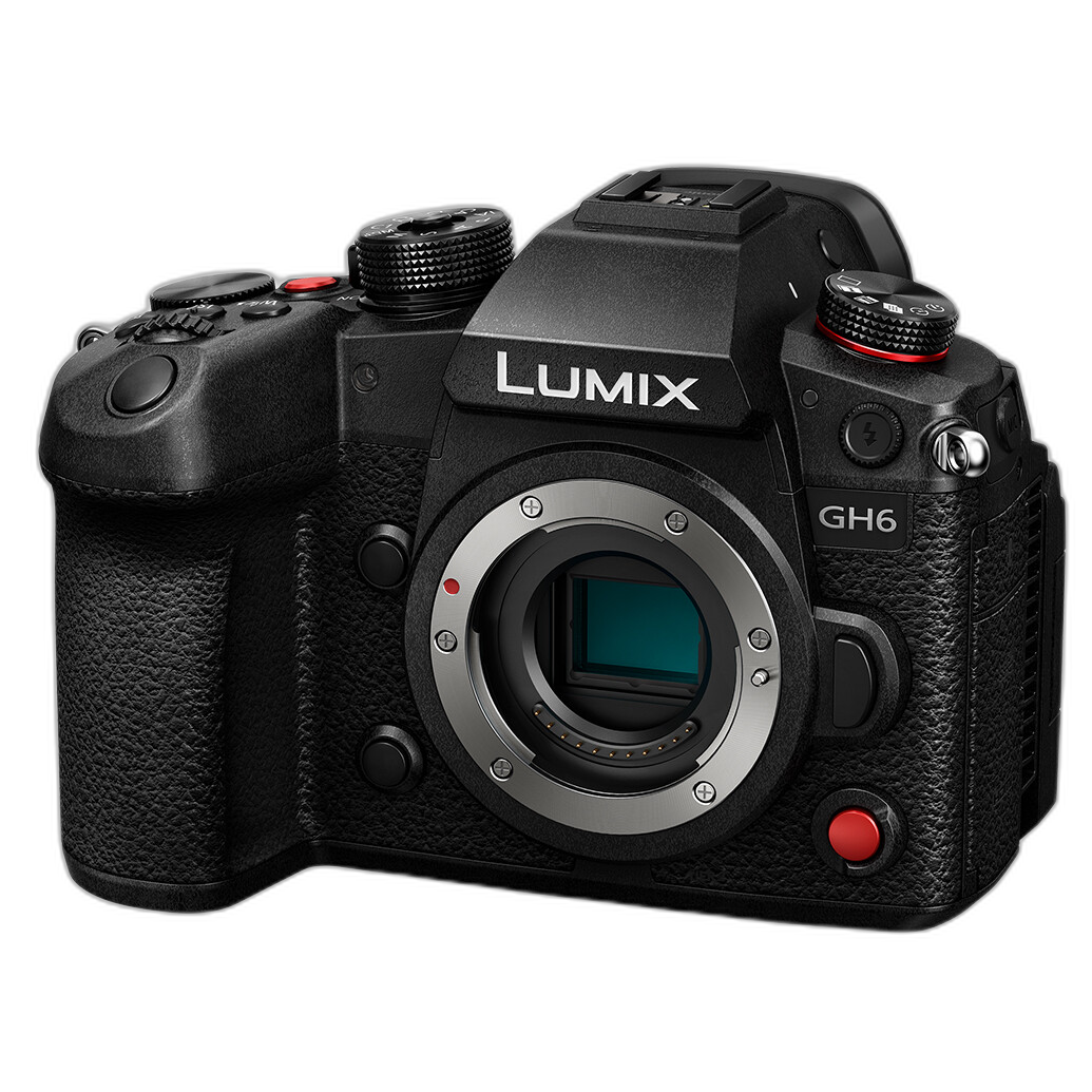 Panasonic GH6 rear angle