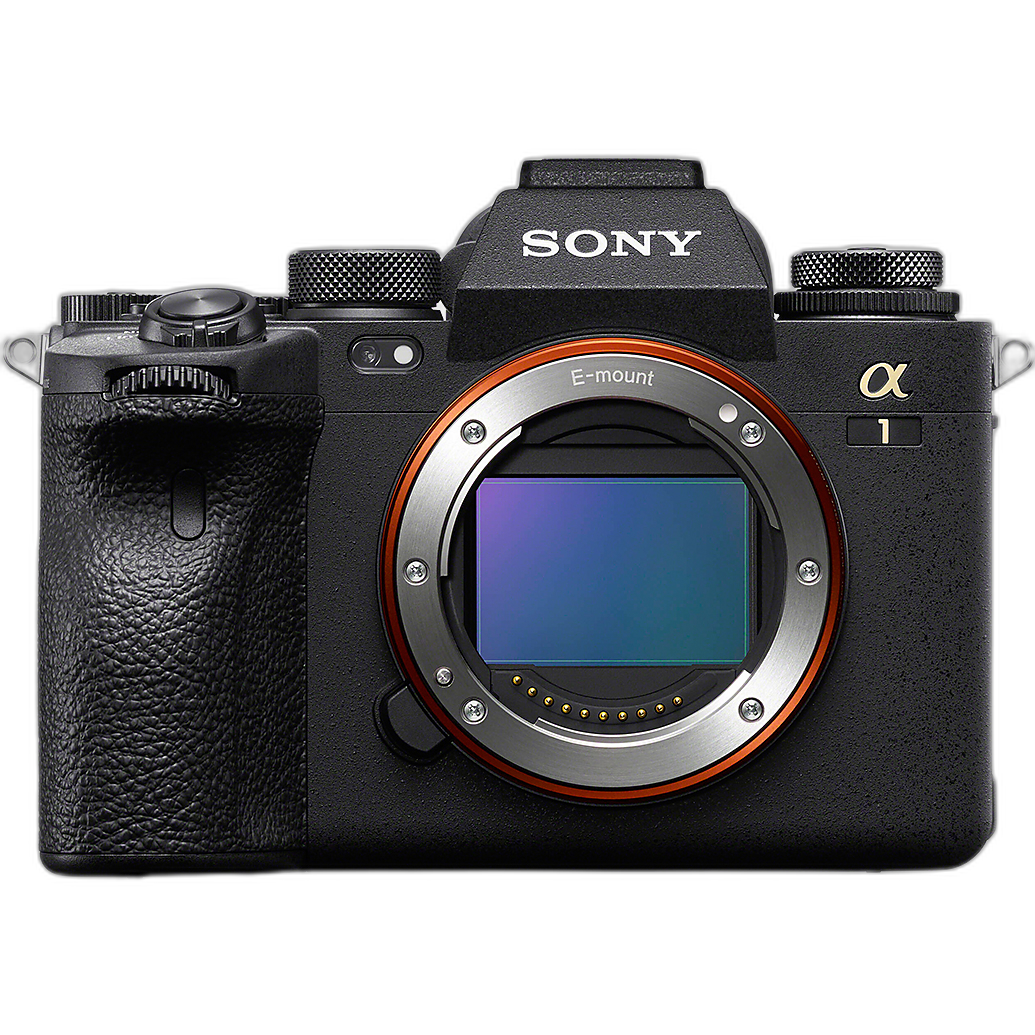 Used Fair Sony Alpha a1 Mirrorless Digital Camera Body Only
