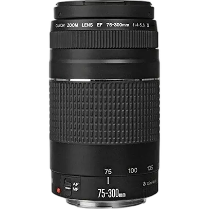 Used Canon EF 75-300mm f/4-5.6 III - Good