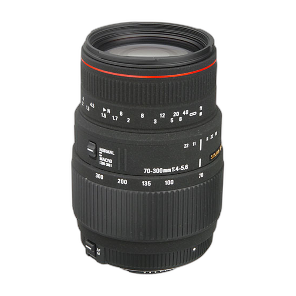 Budget Macro Photography Gear Guide: Best Affordable Lenses, DIY Options, and Money-Saving Technique