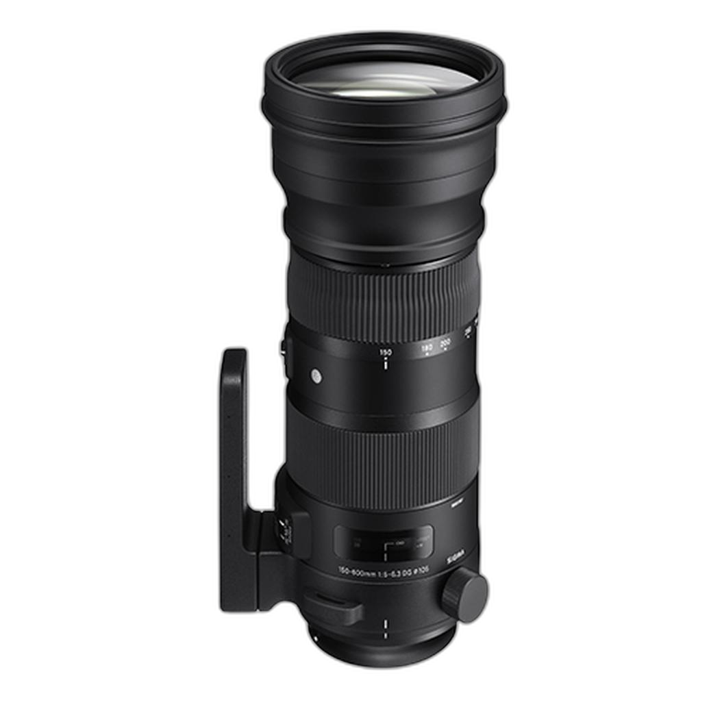 Sigma 150-600mm Sports: Affordable Reach for Wildlife and Sports Shooters