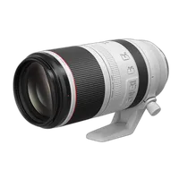 *Open Box Canon RF 100-500mm f/4.5-7.1 L IS USM Lens 1