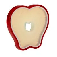 Nuby All Silicone Fruit Teethers  4