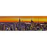 A Doors-Off Helicopter Experience Over NYC with AIP 1