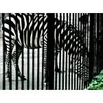 *FREE RSVP* An Afternoon and Book Signing with Jerry Downs 3
