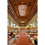 7 Best Spots to Photograph in New York City 3