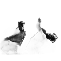 From Fear to Flash with JC Carey (Nikon) 1