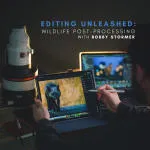 Editing Unleashed: Wildlife Post-Processing with Bobby Stormer 0