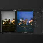 Editing Unleashed: Wildlife Post-Processing with Bobby Stormer 1