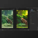 Editing Unleashed: Wildlife Post-Processing with Bobby Stormer 2