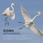 Sigma with Roman: A Paradigm Shift in Bird Photography (Sigma)