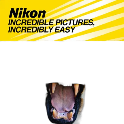 Incredible Pictures, Incredibly Easy (Nikon)