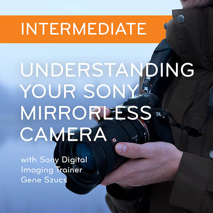Understanding Your Sony Mirrorless Camera class