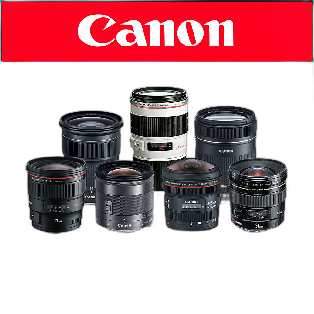 Canon Lenses: Finding the Right Lens for You guide