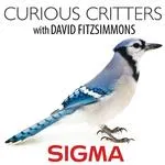 Curious Critters Workshop with Live Animals and David Fitzsimmons SIGMA 0