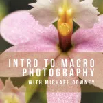 Intro to Macro Photography 1