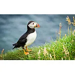 Editing and Enhancing Landscape and Nature Photography with Lightroom 3