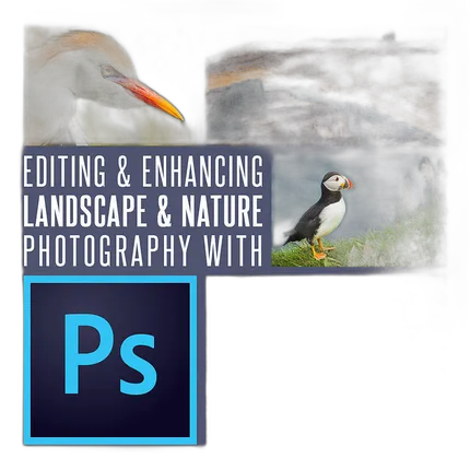 Editing and Enhancing Landscape and Nature Photography with Photoshop