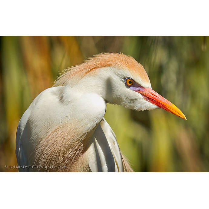 Photoshop editing class for landscape and nature photography