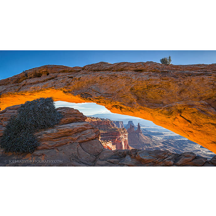 Refined, natural results for competition-ready landscapes and nature