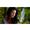 Mastering Green Screen Photography with Joe Brady