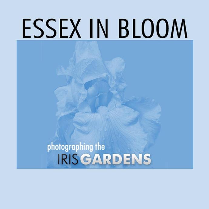 Essex in Bloom: Photographing the Iris Gardens