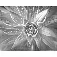 Print What You See: Ways to Print Photos with Martin Bluhm 1