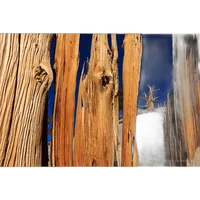 Photographing the Introspective Landscape with Salvatore Vasapolli 1