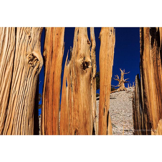 Landscape photography learning at Unique Photo