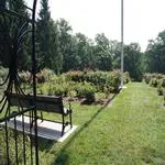 Essex in Bloom - Photographing the Rose Gardens 4