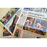 Live Pet Photography Photo Shoot and Lightroom Workflow with Andrew Darlow 2