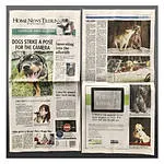 Live Pet Photography Photo Shoot and Lightroom Workflow with Andrew Darlow 3
