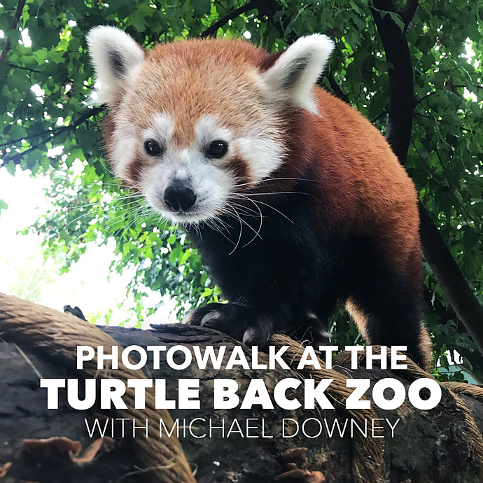Photowalk at Turtle Back Zoo with Michael Downey Unique University at