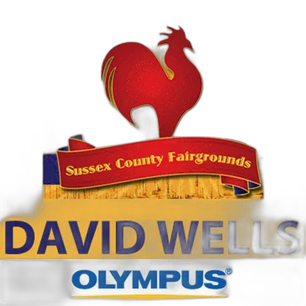 Seminar: How to Capture Great Festival and Event Photos with David Wells