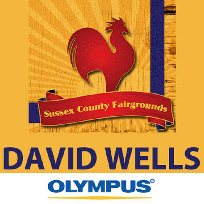 Unique University seminar with David Wells on festival and event photography and workflow