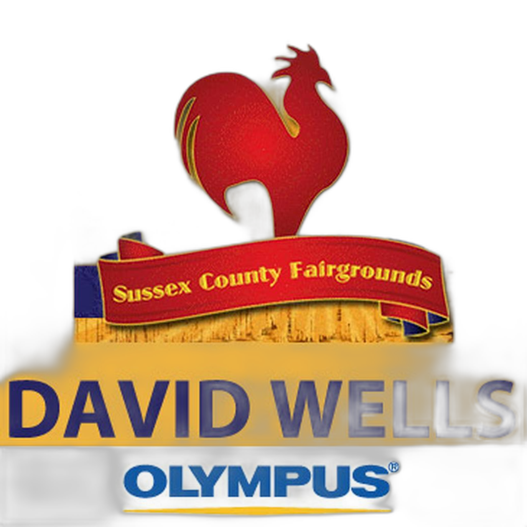 Unique Photo seminar: Festival and Event Photos with David Wells