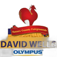 Excursion: How to Capture Great Festival  and  Event Photos with David Wells 0