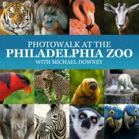 Photowalk at the Philadelphia Zoo 0