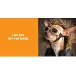Pet Photography Crash Course and Book Signing with Andrew Darlow 1