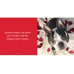 Pet Photography Crash Course and Book Signing with Andrew Darlow 3