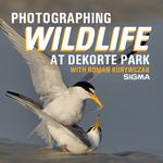 Photographing Wildlife at Dekorte Park with Roman Kurywczak