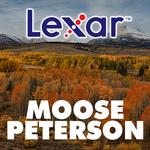 Wanderings of a Wildlife Photographer with Moose Peterson and LEXAR