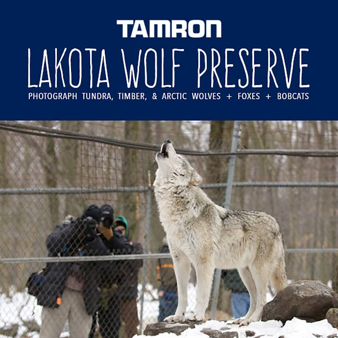 Lakota Wolf Preserve with Tamron Unique Photo at Unique Photo