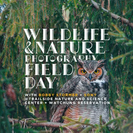 Wildlife and Nature Photography Field Day with Bobby Stormer (Sony)