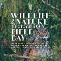 Wildlife and Nature Photography Field Day with Bobby Stormer (Sony) 0