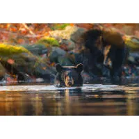 Wildlife and Nature Photography Field Day with Bobby Stormer (Sony) 4