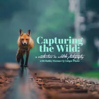 Capturing the Wild: A Masterclass in Wildlife Photography 0
