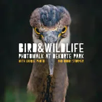 Bird and Wildlife Photowalk at DeKorte Park with Bobby Stormer (Sony) 0